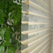 Зебра светомаскировки светомаскировки ослепляет ткани шторок ролика слоя окна Шангри-Ла ткани тройные