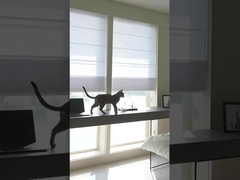 100% полиэстерные жалюзи для окна из римской ткани